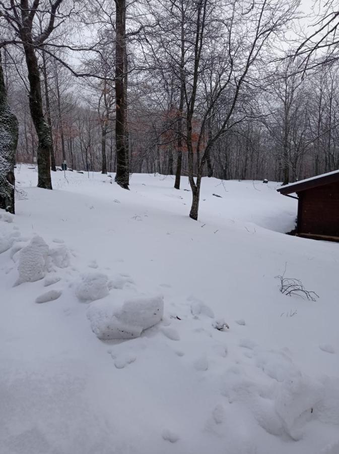 Villaggio Anemone Chalet Fragolina Capanne di Sillano Экстерьер фото